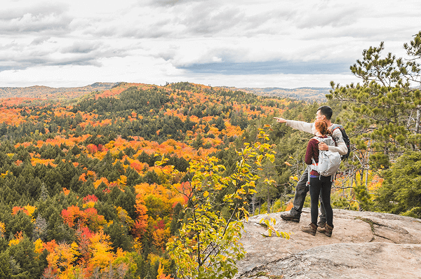 A couple stands atop a rock, overlooking a dense forest, enjoying the scenic view and natural beauty around them.