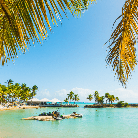 A scenic tropical getaway featuring bright blue waters, a clear sunny day, and cabanas among the palm trees.