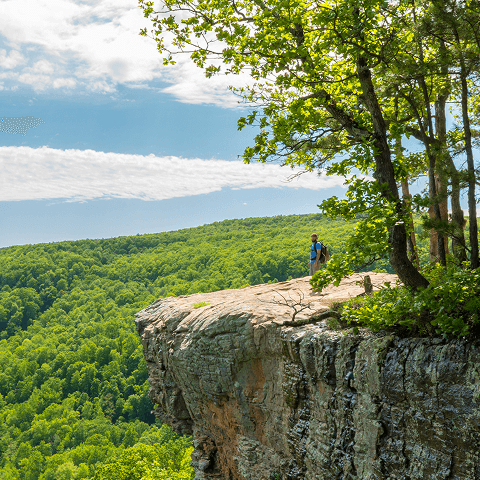 A man with a backpack standing on a cliff overlooking a forest during his hike.