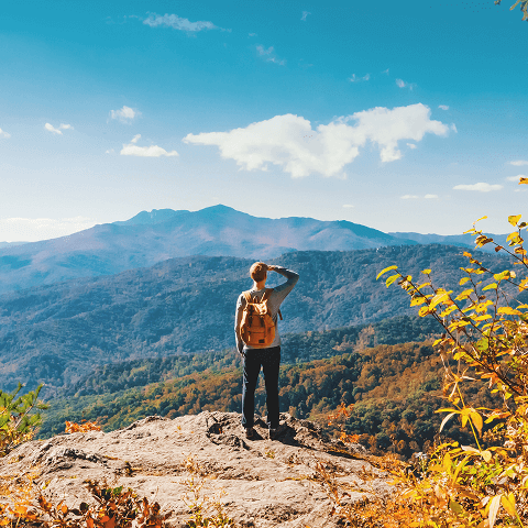 A man overlooking a forest valley from a ledge.