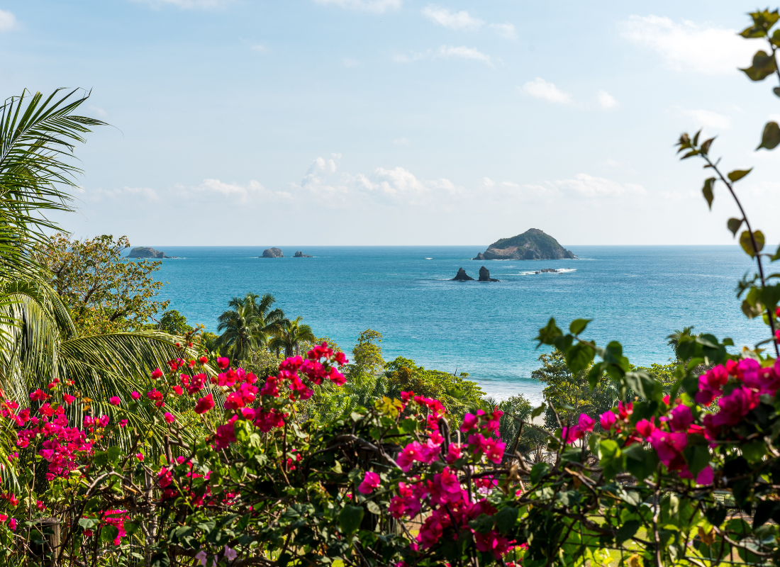 View of vegetation with a beach in the background and a clear sky