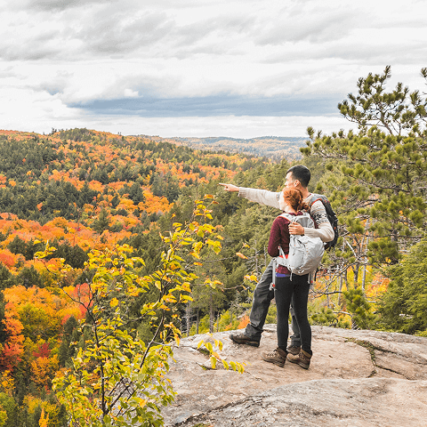 A couple stands atop a rock, overlooking a dense forest, enjoying the scenic view and natural beauty around them.
