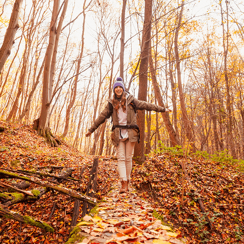 A woman walks along a path in a fall forest, with trees displaying bright autumn foliage all around her.