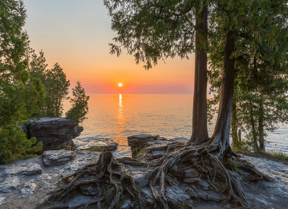 A tree with roots clinging to rocks, silhouetted against a vibrant fall sunset. 