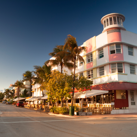 A building surrounded by palm trees glowing from the golden hour sun.