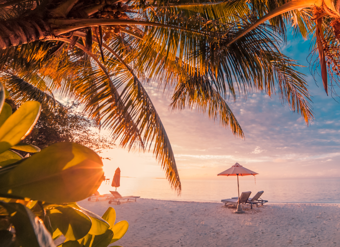 A beautiful sunset on the beach with a palm tree, some beach chairs and beach umbrellas