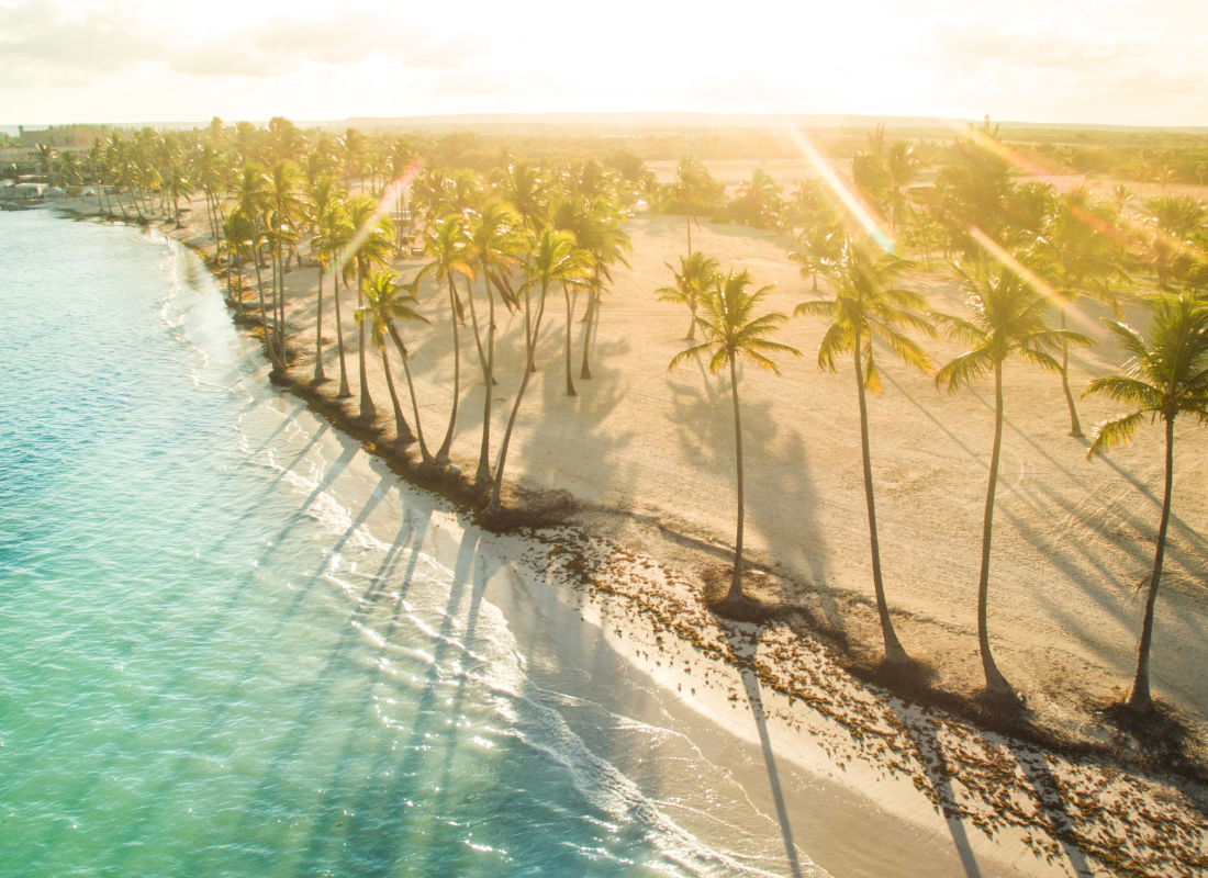 An aerial view of a palm tree lined beach shore
