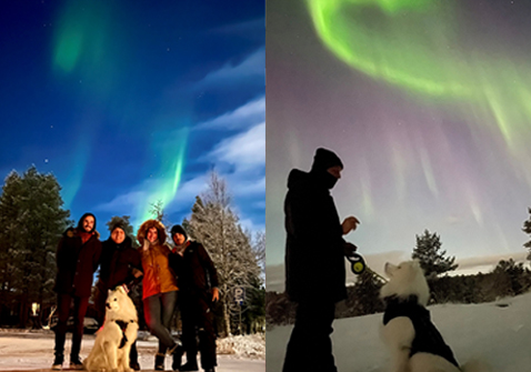 Northern lights with Friends and dog