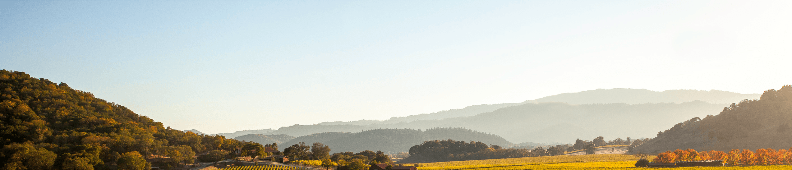 A stunning landscape in Napa Valley with rolling hills and autumn foliage on a bright afternoon.