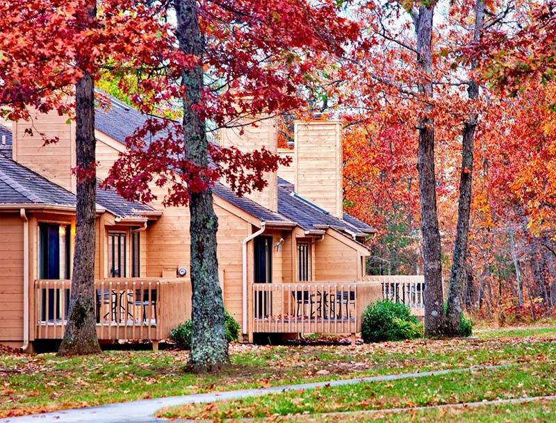 A row of cozy cabins surrounded by vibrant fall foliage and colorful leaves on the ground.