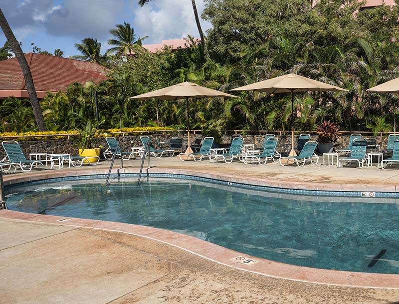 A resort pool area featuring lounge chairs and umbrellas, set against the backdrop of lush tropical vegetation.