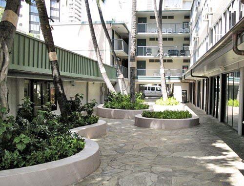 A cozy courtyard with lush vegetation and tall palm trees, surrounded by multi-story resort buildings.