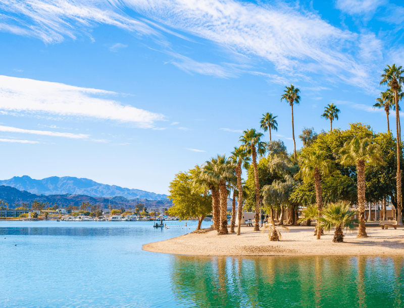 A sandy beach lined with tall palm trees and lush greenery along the clear blue waters of Lake Havasu, Arizona, with desert mountains visible in the distance.