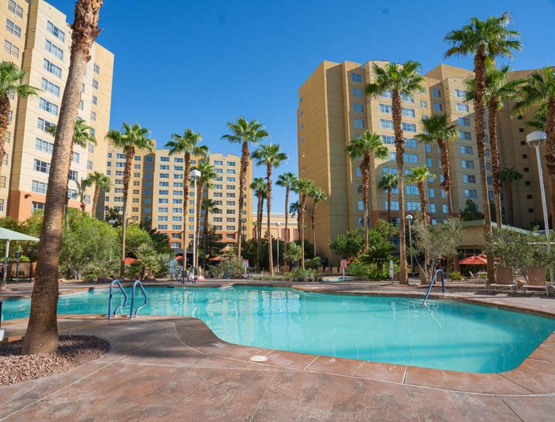 A serene, free-form pool nestled among tall palm trees and multistory resort buildings. 