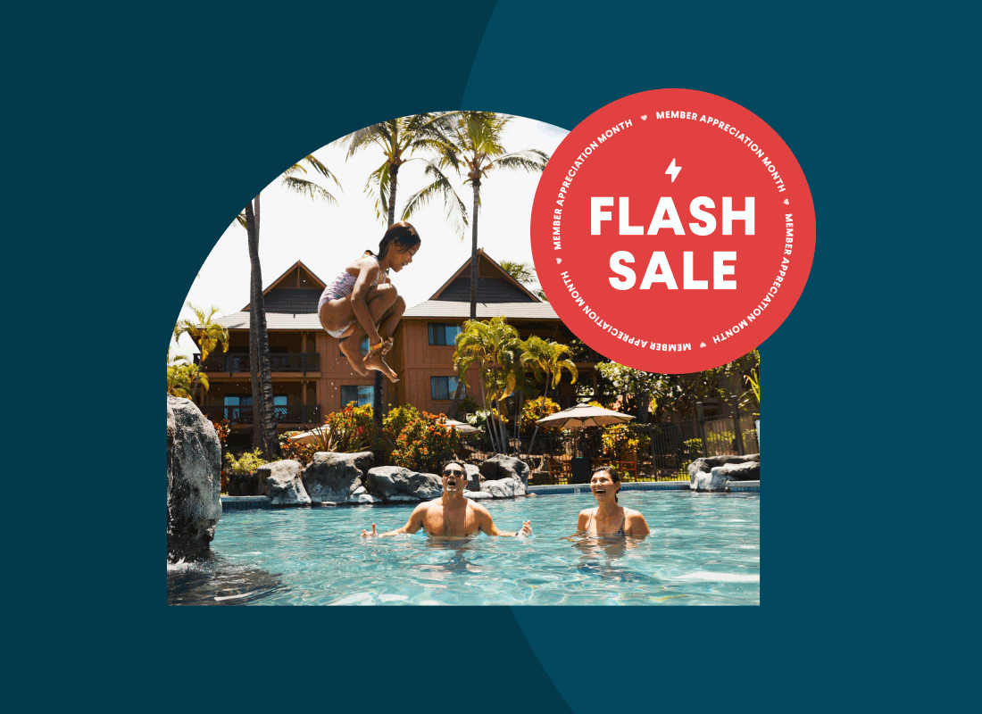 An image of a child cannonballing into a pool surrounded by rocks, overlayed with an animated Flash Sale badge.