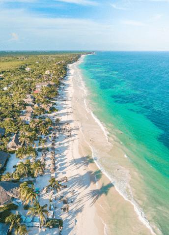 Aerial view of beach with palm trees and clear sky in the background