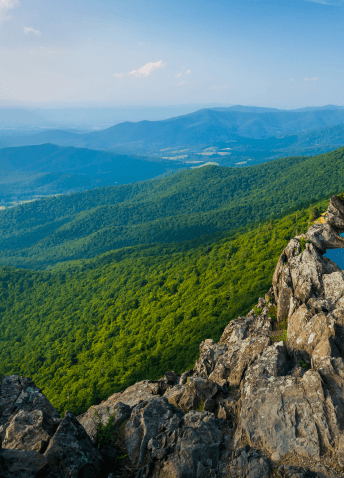 Forested mountains with clear sky in the background