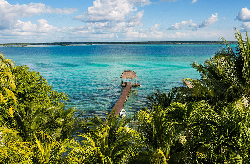 A scenic tropical pier surrounded by palm trees, overlooking calm ocean waters and a clear blue sky.