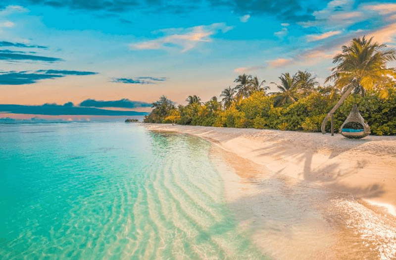 A serene tropical beach at sunset, featuring palm trees beside calm azure waters.