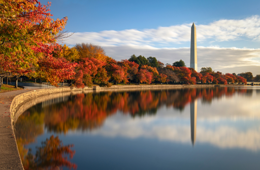 View of vegetation with fall foliage next to a pond, with Washington Monument and clear sky in the background
