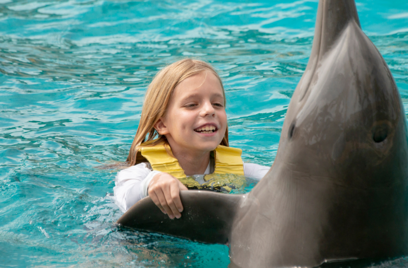 A young girl swimming together with a dolphin in Discovery Cove.