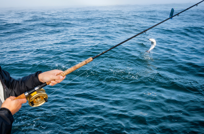 A person holding a fishing reel over the ocean with a fish splashing.
