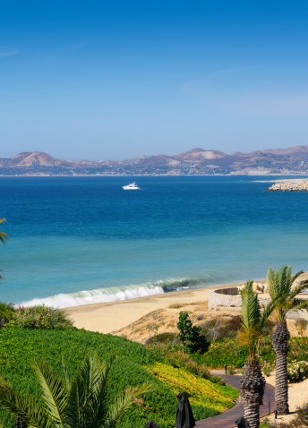 Serene blue waters with bright green foliage on the shore.