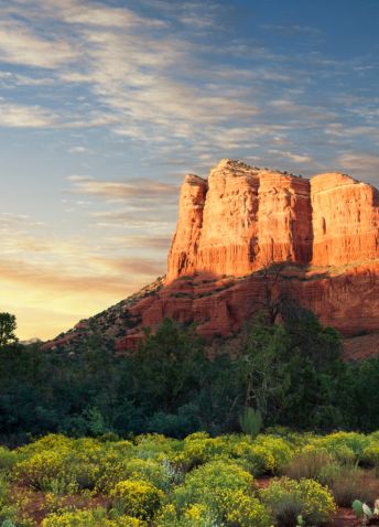 Red rock formation in Sedona illuminated by golden sunlight above green foliage and yellow wildflowers.