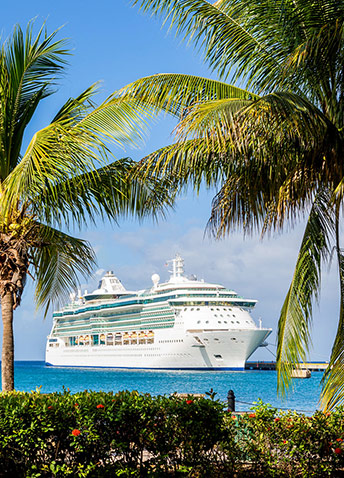 A cruise ship sailing in blue waters seen through palm trees