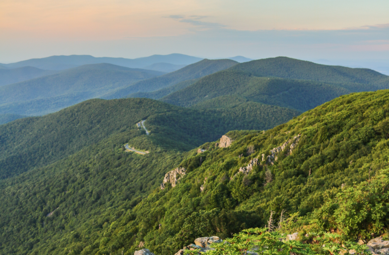A panoramic view of Shenandoah National Park's majestic mountains.