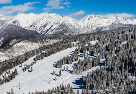 All Colorado Rockies