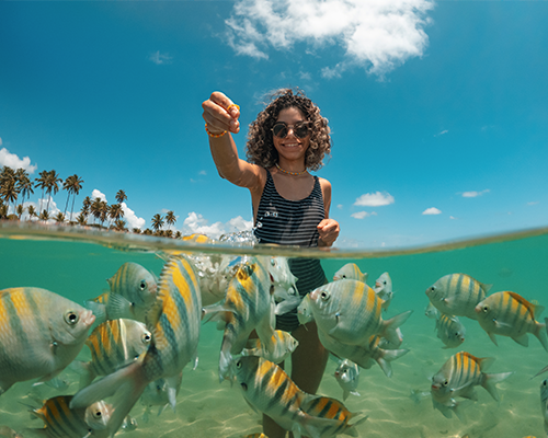 Porto de Galinhas é o seu destino!