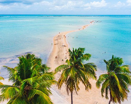 Férias de julho em Maragogi