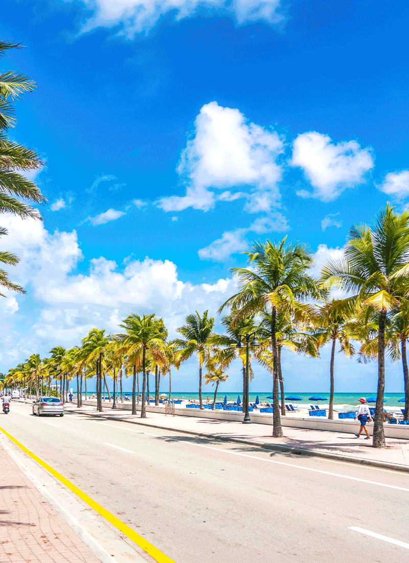 ¡NO TE LO PIERDAS! VIAJA A ESTADOS UNIDOS DESDE $349 USD*