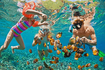 Buceando Peces