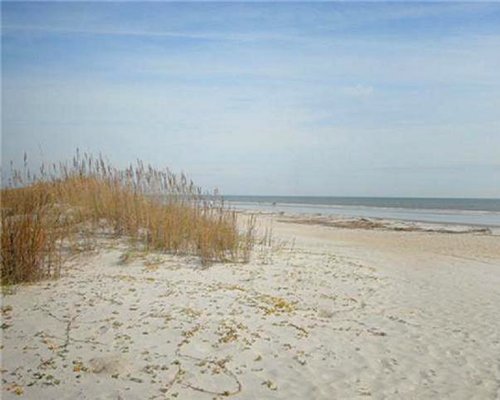 Beach walkway through dunes.