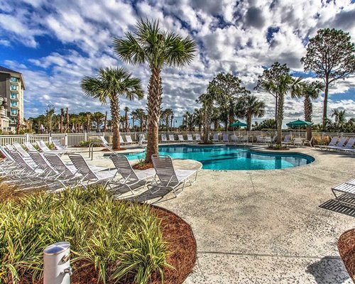 An outdoor swimming pool surrounded by palm trees.