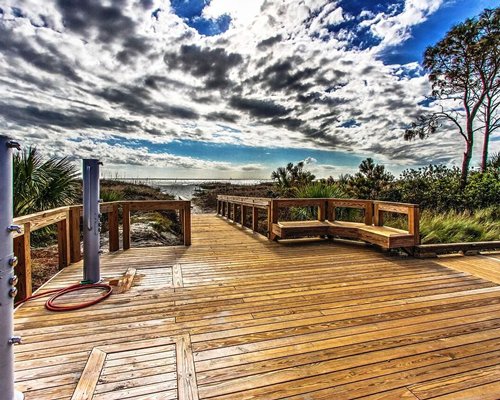 A wooden walkway surrounded by greenery.