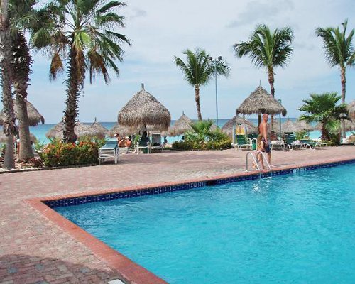 An outdoor swimming pool along side palm trees and thatched sunshades.