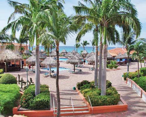 An outdoor swimming pool alongside palm trees and thatched sunshades facing ocean.