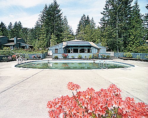 An outdoor swimming pool surrounded by flowering shrubs near wooded area.