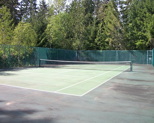 An outdoor tennis court near wooded area.