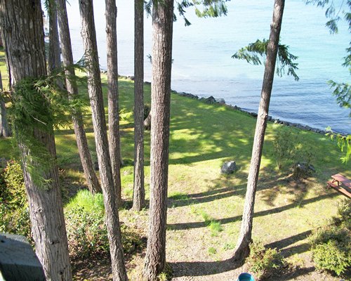 A shaded lawn with a view of the water.