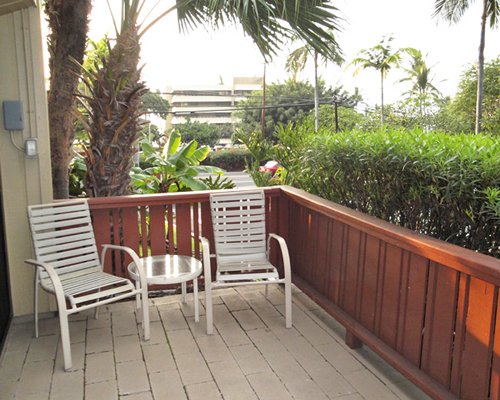 First floor balcony surrounded by shrubs and palm trees.