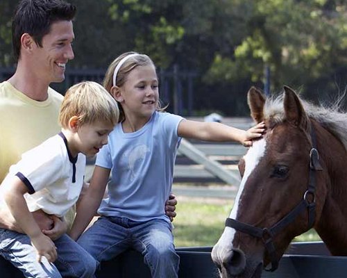 A family with a horse.