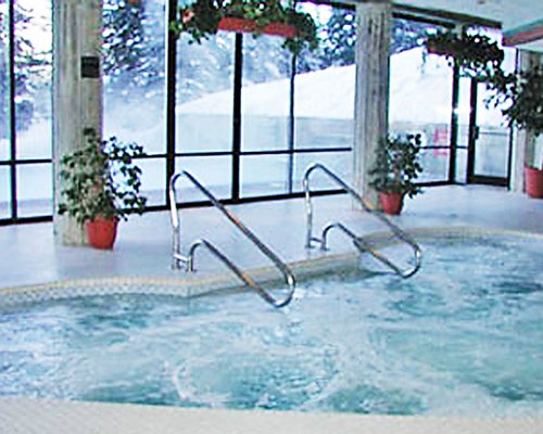 Indoor hot tub with outdoor view.