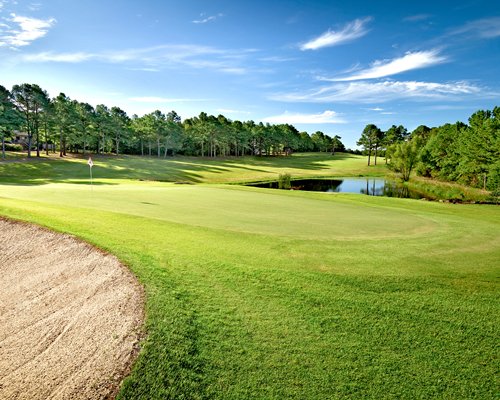 A golf course surrounded by a wooded area.