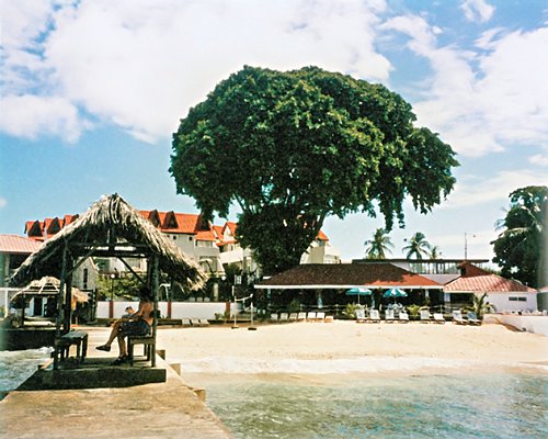 A beach view with thatched sunshades.