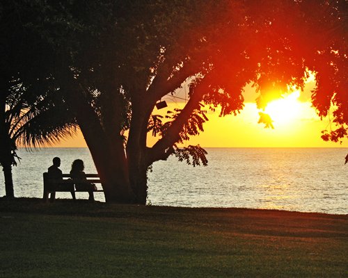 Sandy Point Beach Club