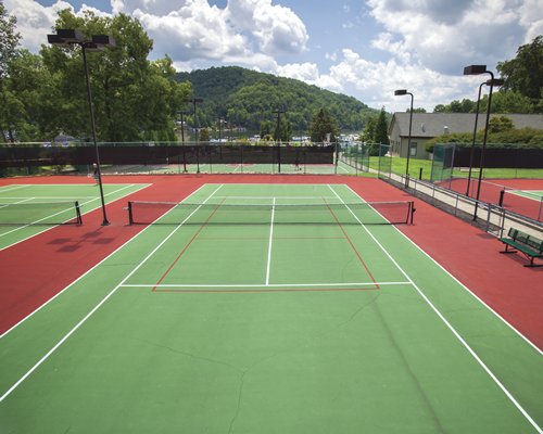 An outdoor tennis courts surrounded by wooded area.